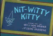 Nit-Witty Kitty